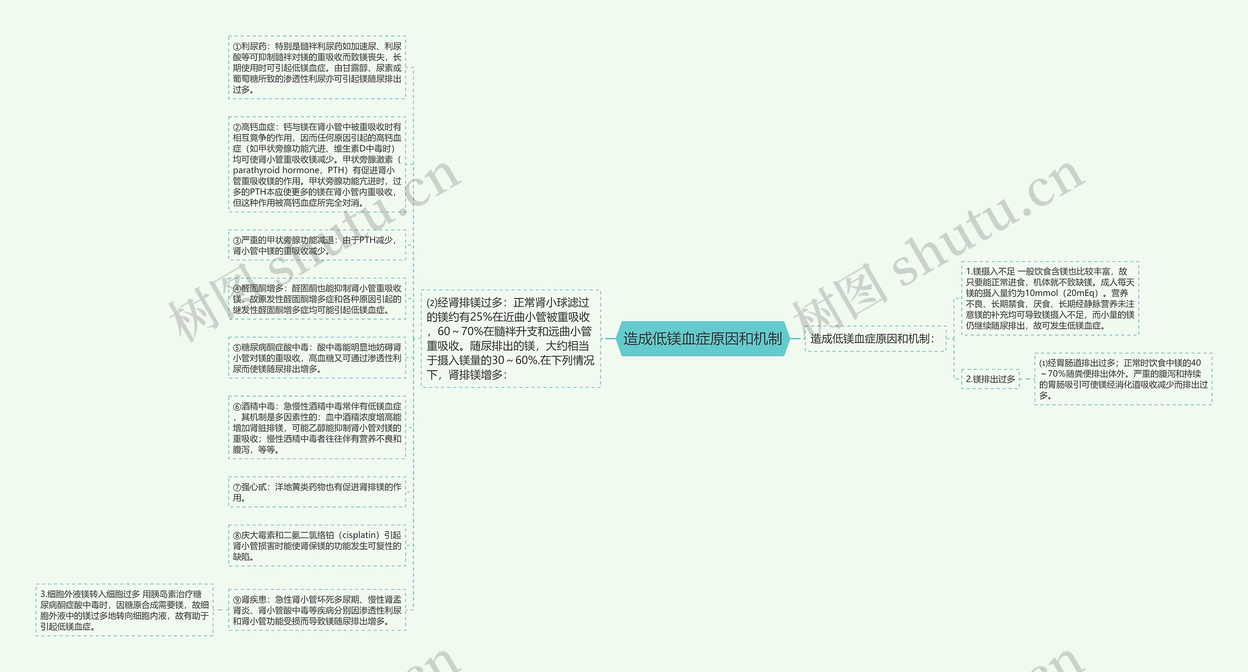 造成低镁血症原因和机制思维导图