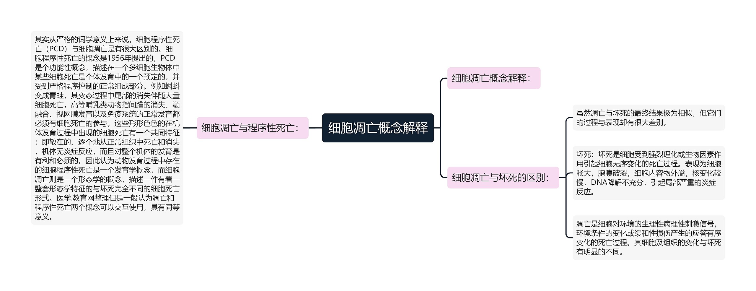 细胞凋亡概念解释思维导图