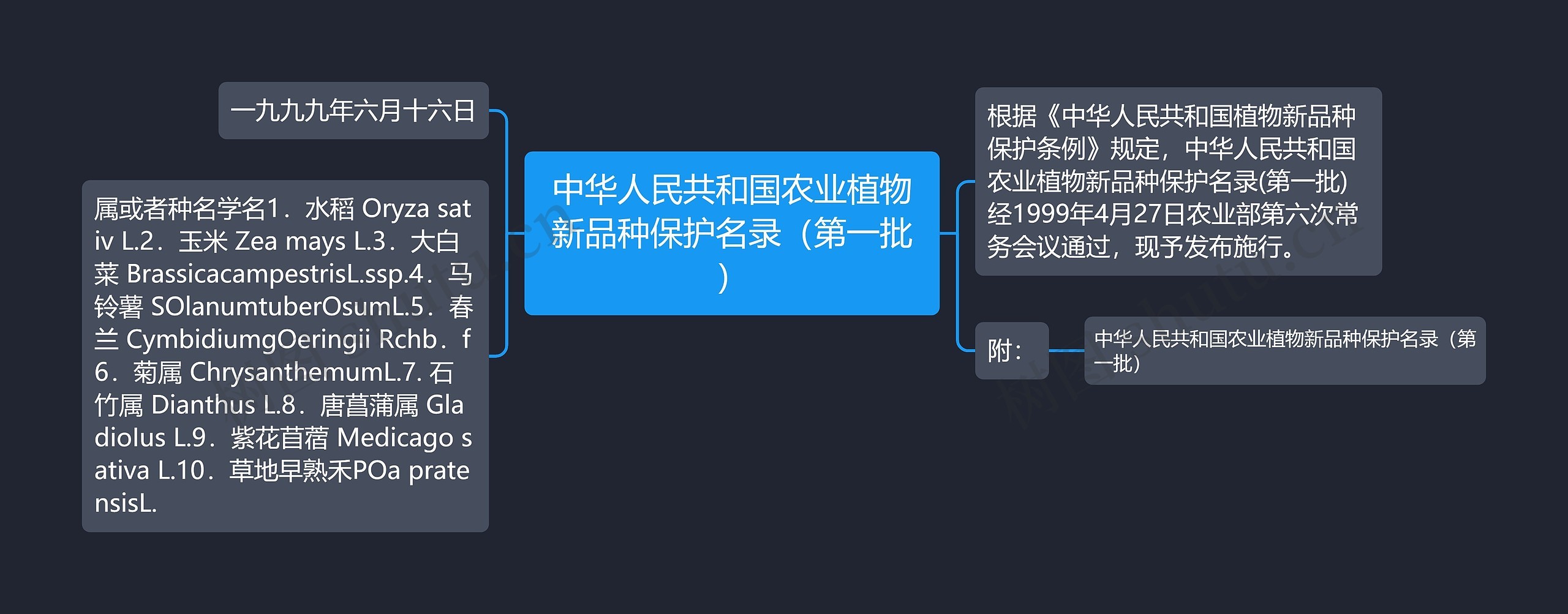中华人民共和国农业植物新品种保护名录（第一批）思维导图