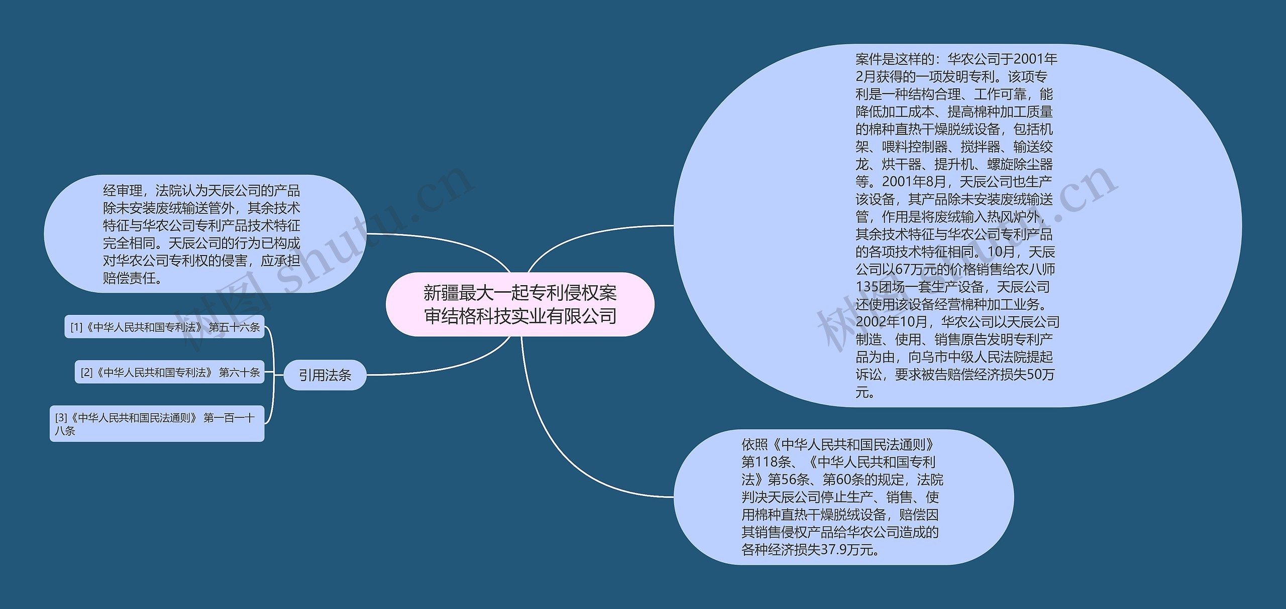 新疆最大一起专利侵权案审结格科技实业有限公司思维导图