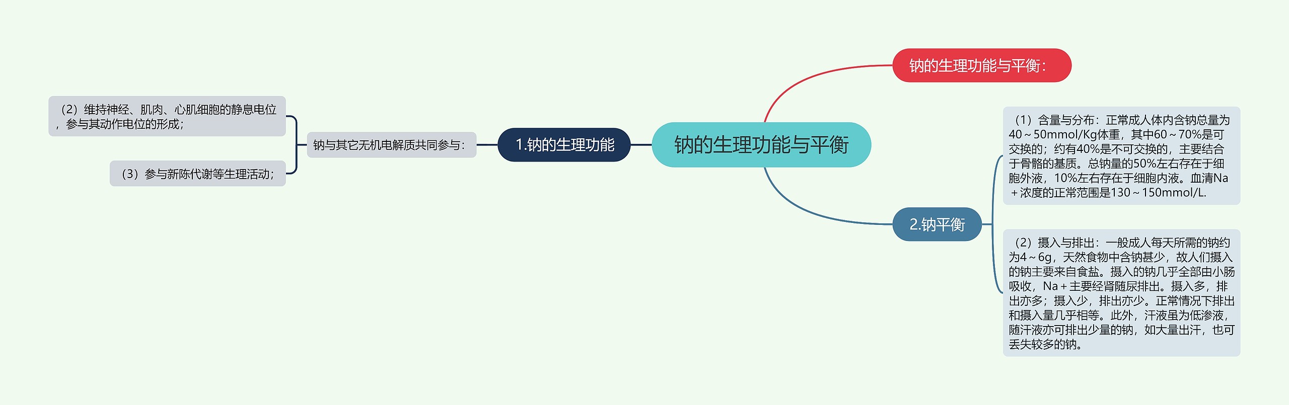 钠的生理功能与平衡思维导图