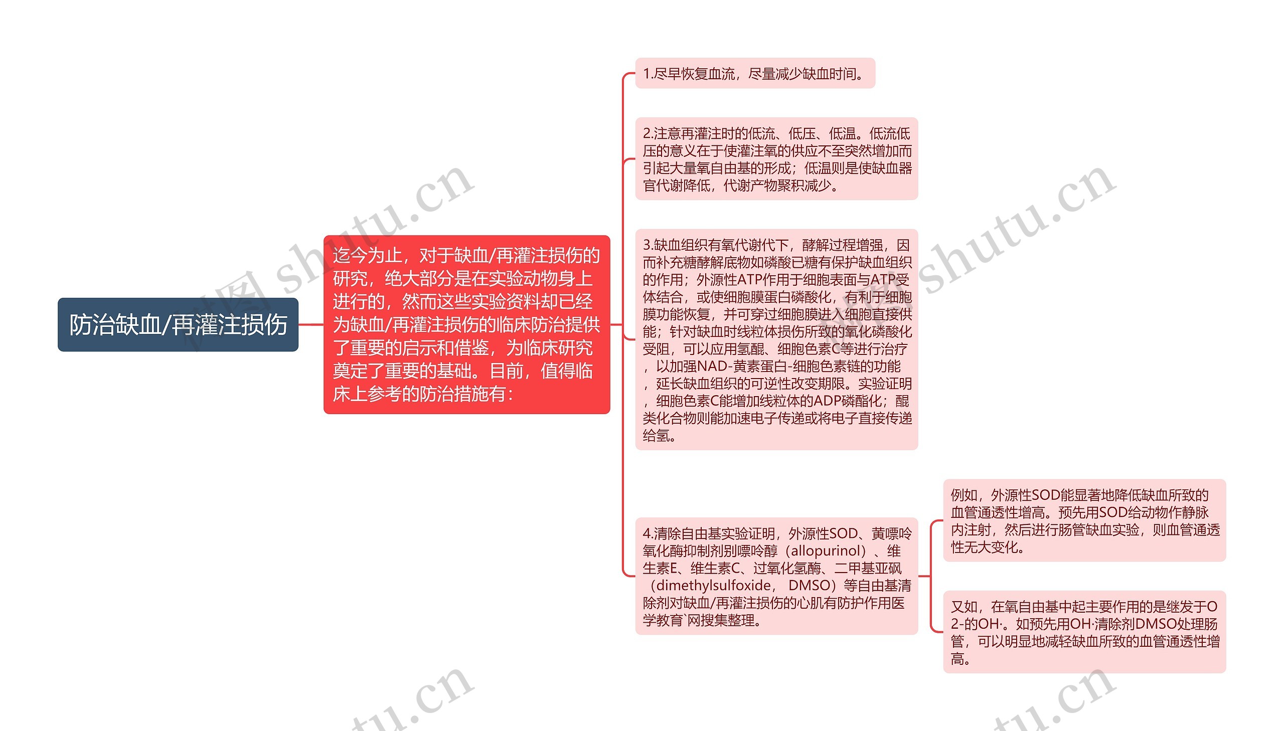 防治缺血/再灌注损伤思维导图