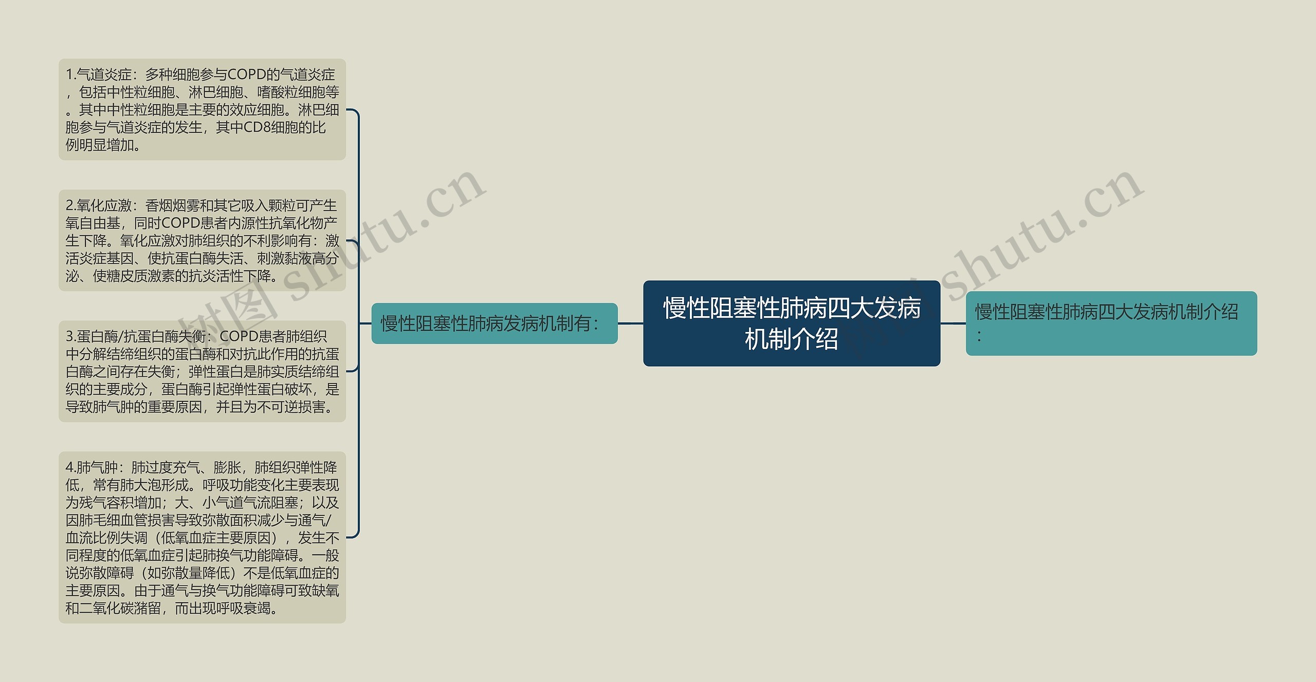 慢性阻塞性肺病四大发病机制介绍思维导图