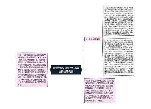 病理生理 心脏缺血-再灌注损伤的变化