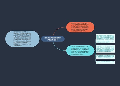 北京成立了全国首家知识产权服务业协会
