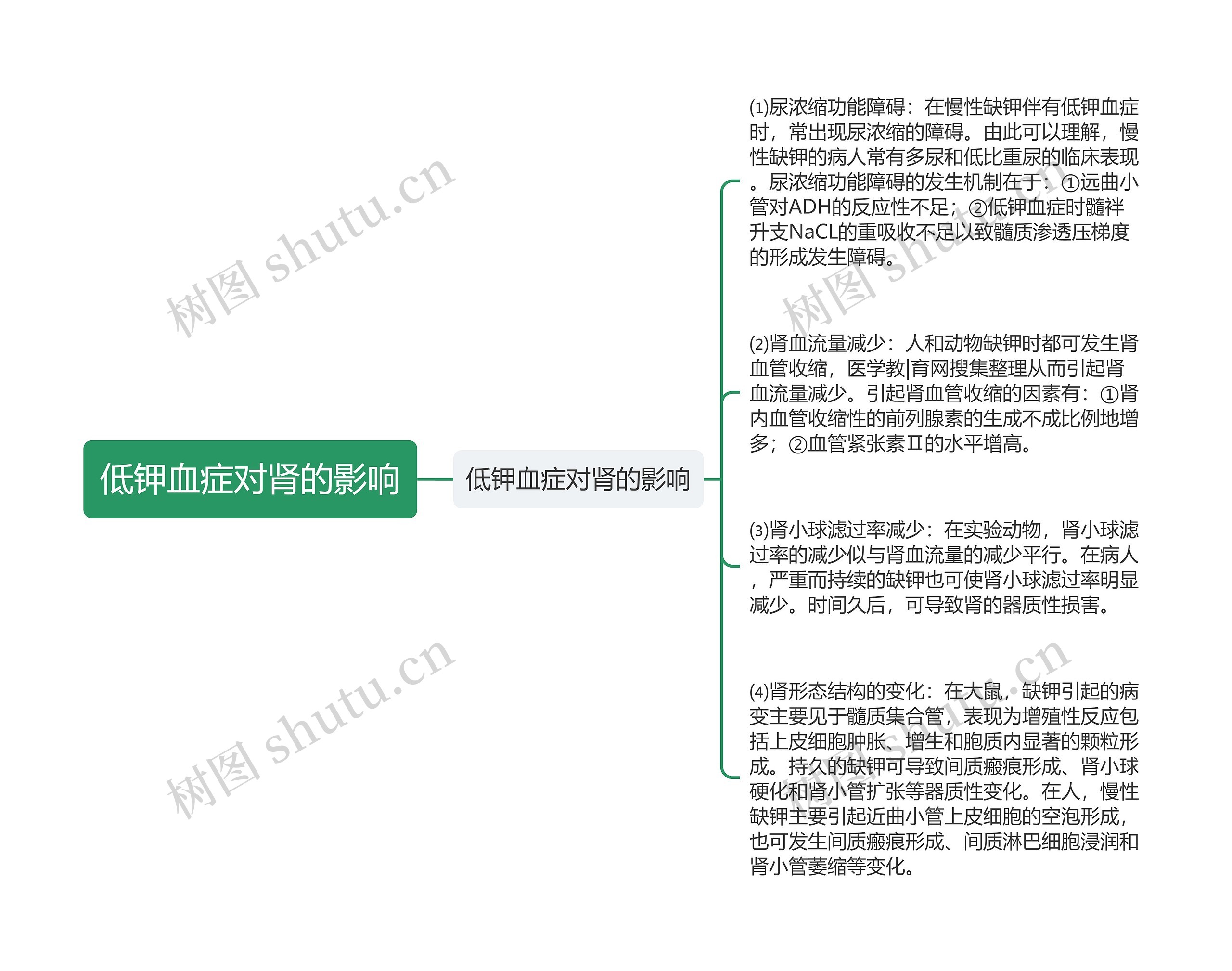 低钾血症对肾的影响思维导图