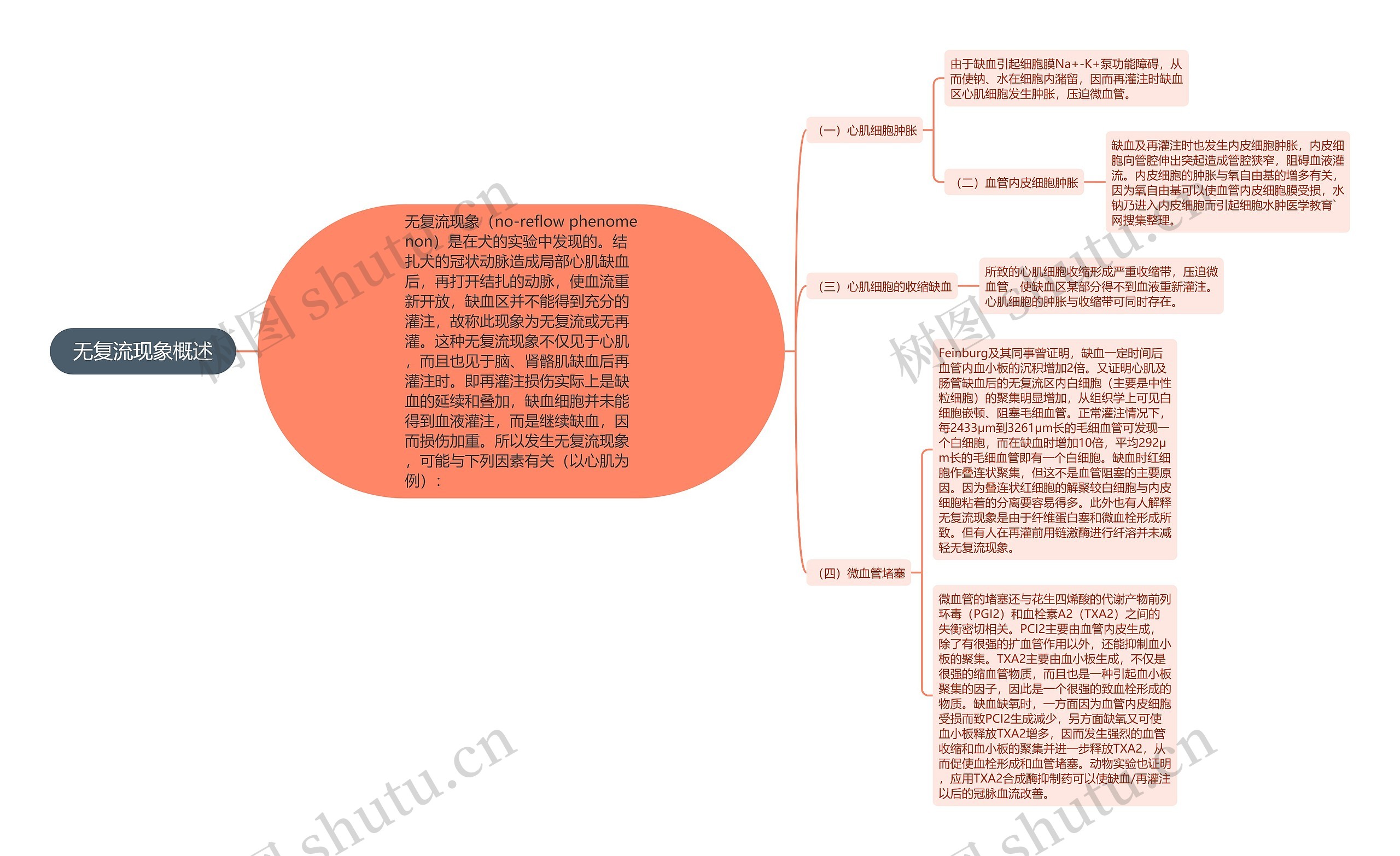 无复流现象概述思维导图