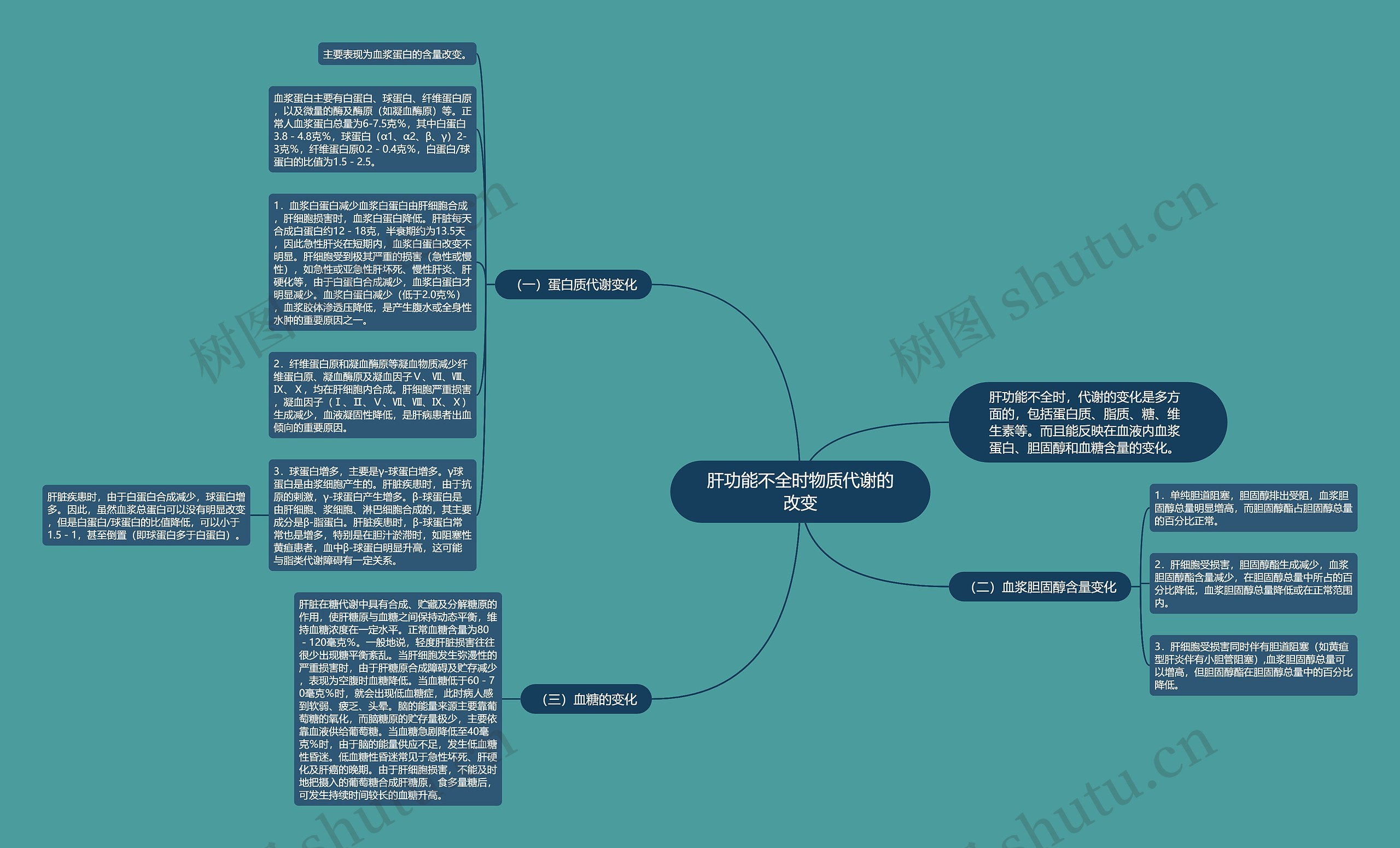 肝功能不全时物质代谢的改变思维导图