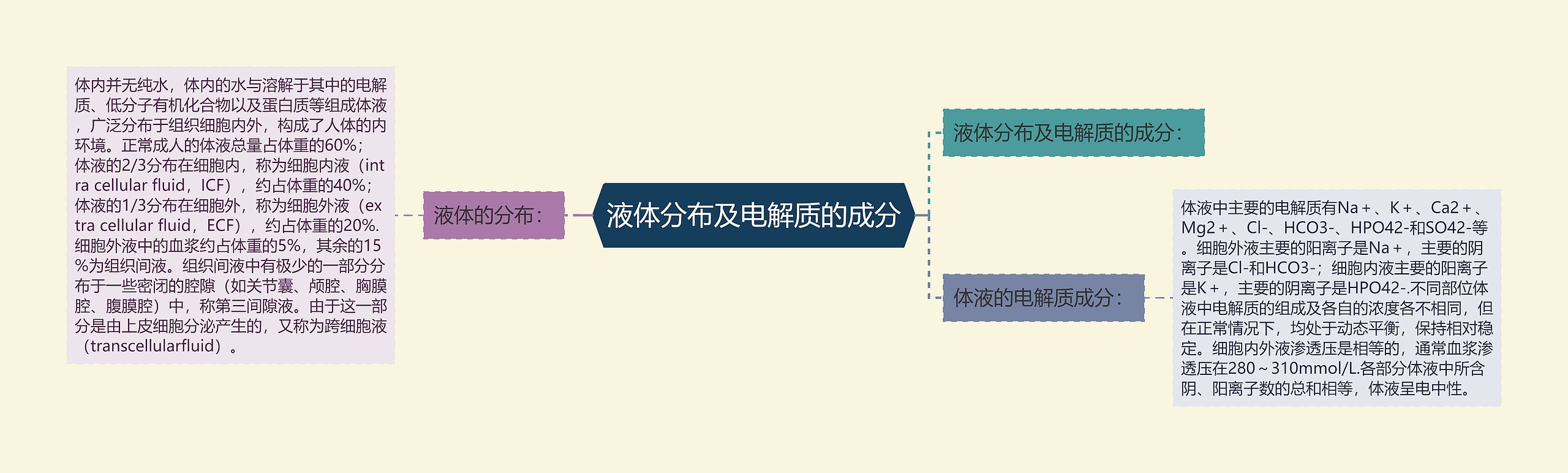液体分布及电解质的成分