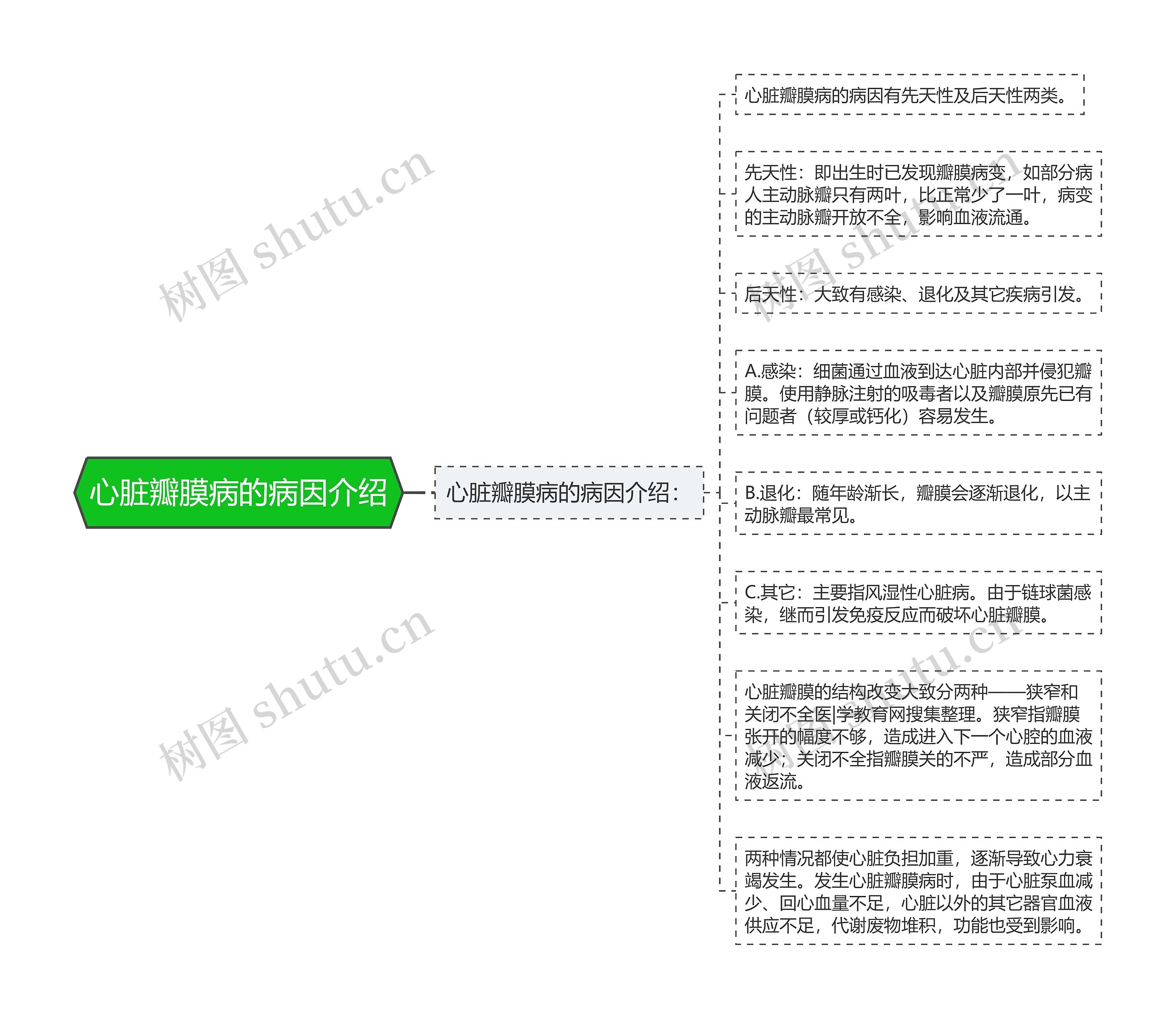 心脏瓣膜病的病因介绍思维导图