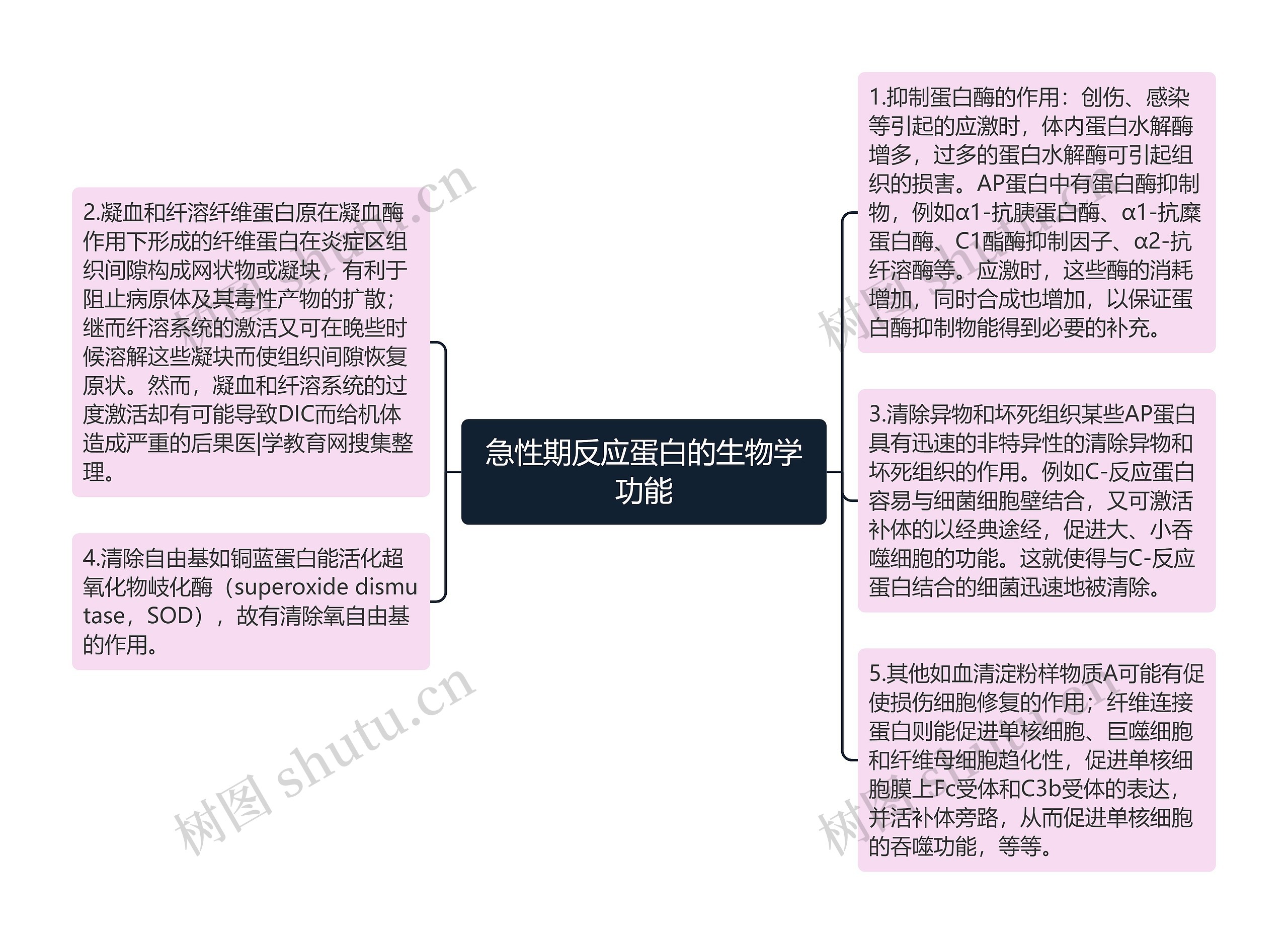 急性期反应蛋白的生物学功能思维导图