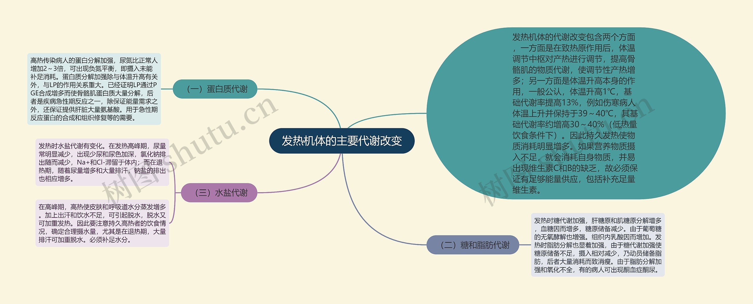 发热机体的主要代谢改变