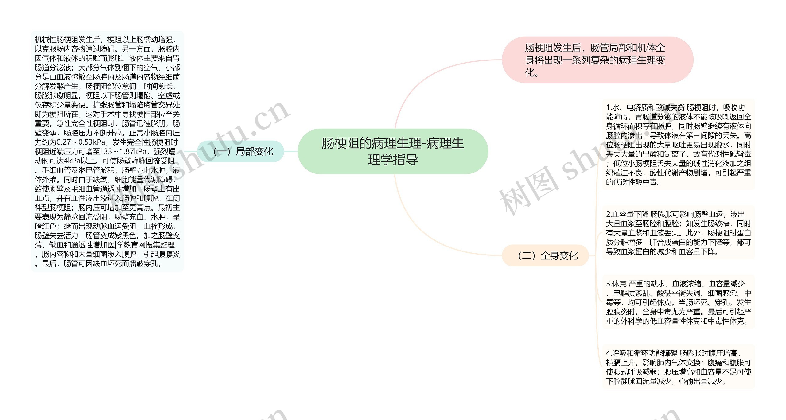 肠梗阻的病理生理-病理生理学指导