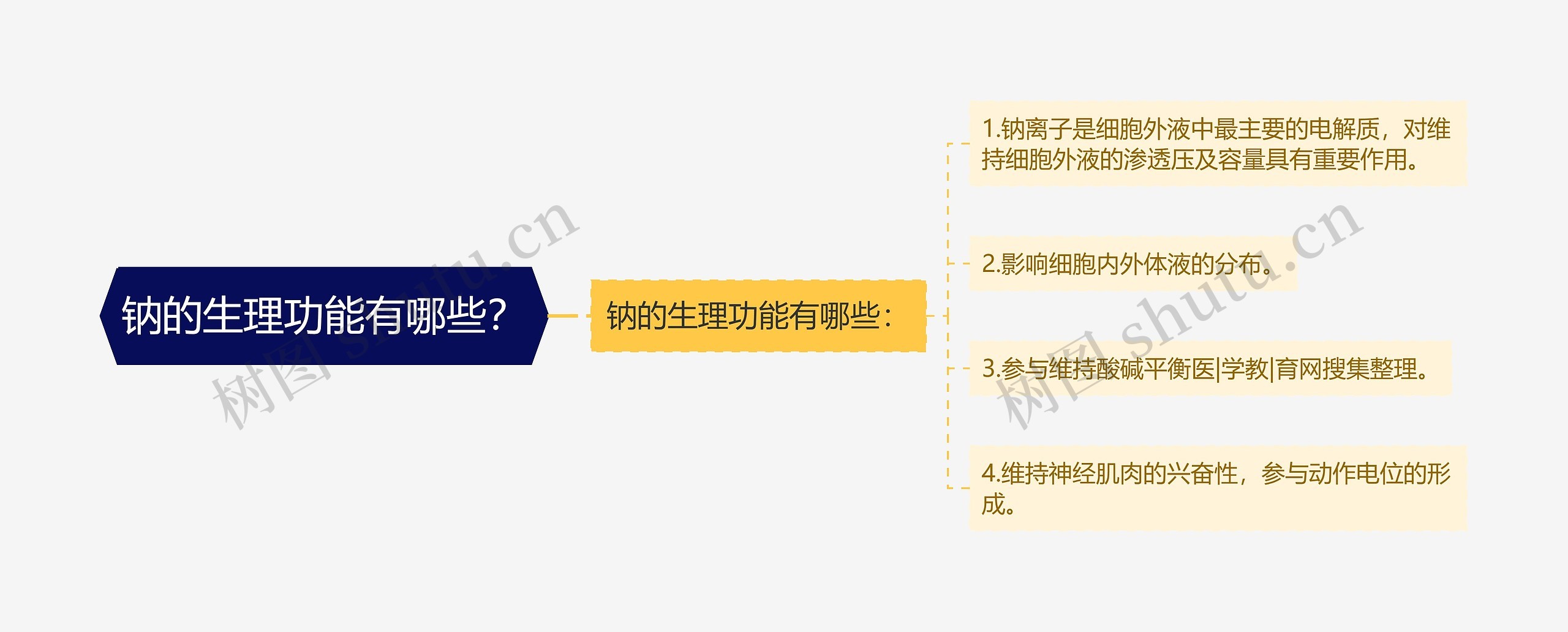 钠的生理功能有哪些? 钠的生理功能有哪些?