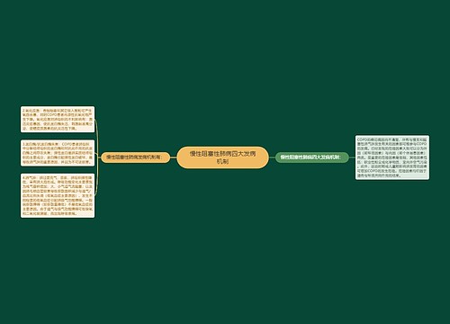 慢性阻塞性肺病四大发病机制