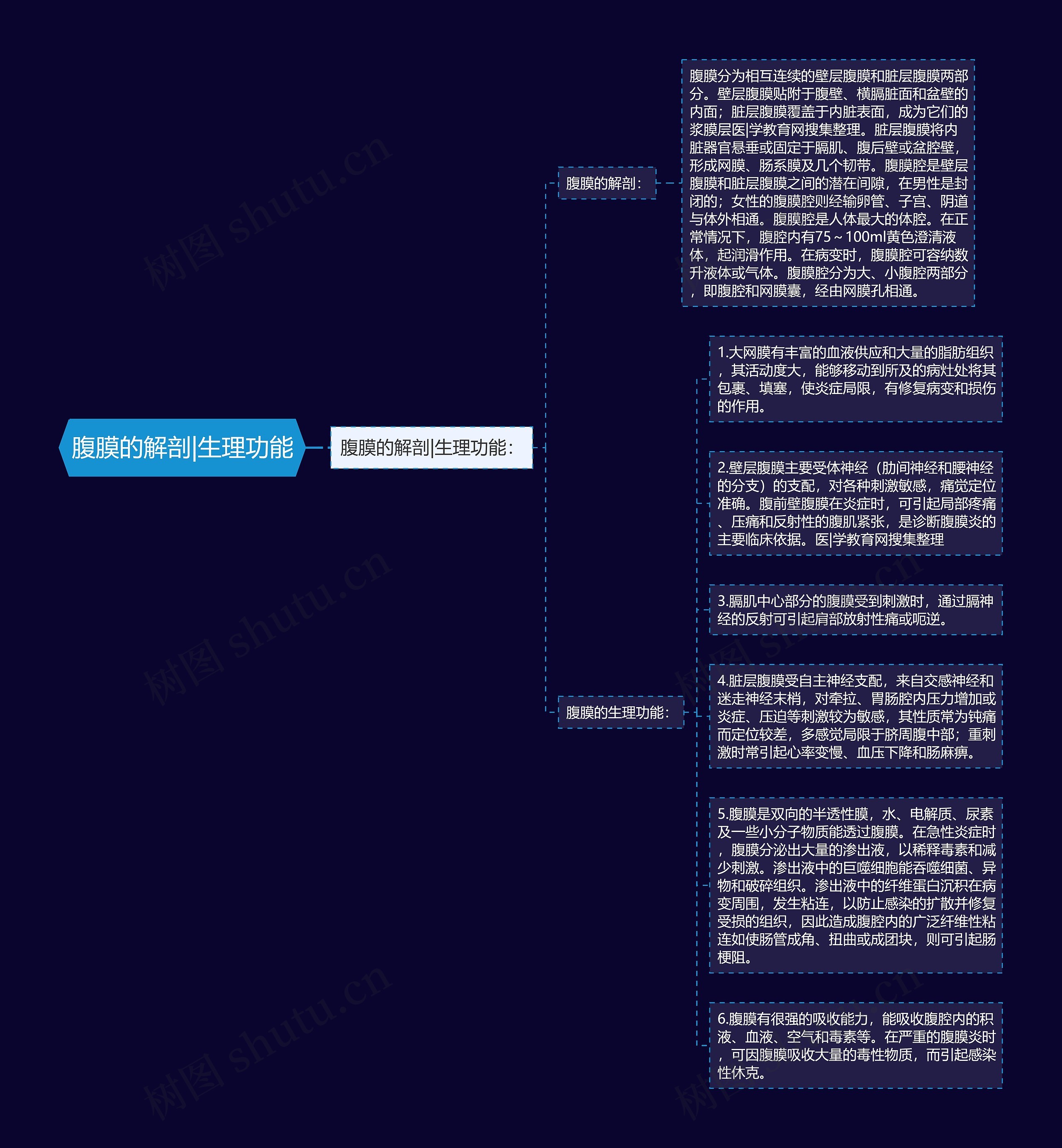 腹膜的解剖|生理功能思维导图