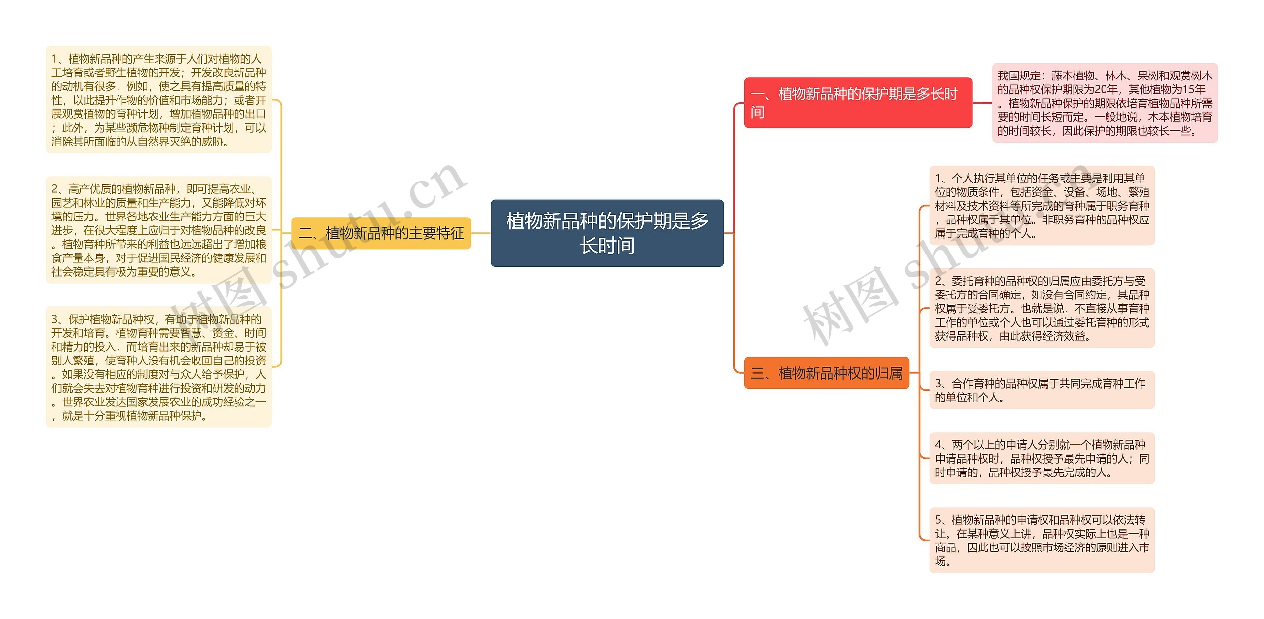 植物新品种的保护期是多长时间思维导图