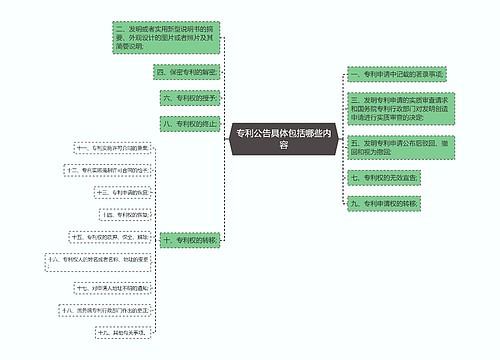 专利公告具体包括哪些内容