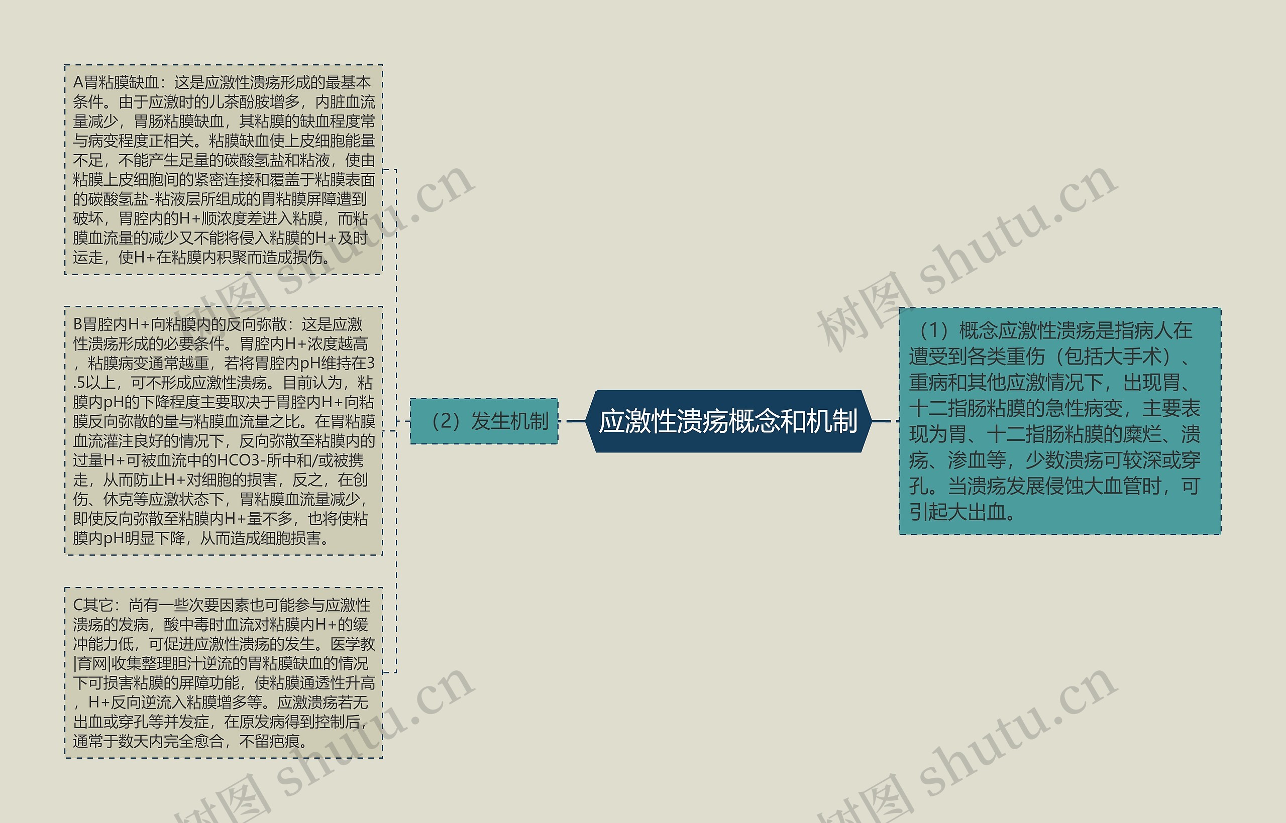 应激性溃疡概念和机制思维导图