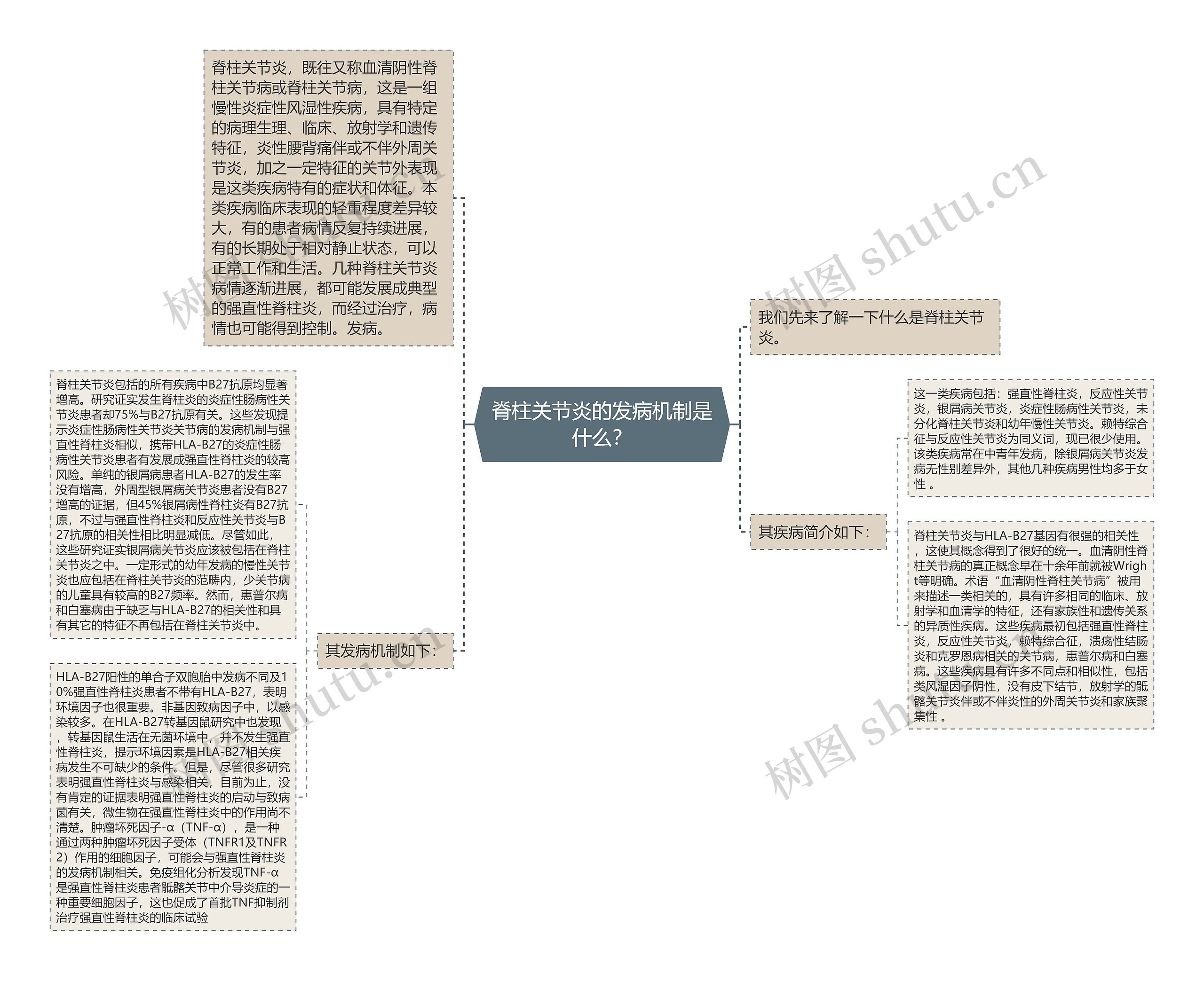 脊柱关节炎的发病机制是什么？思维导图