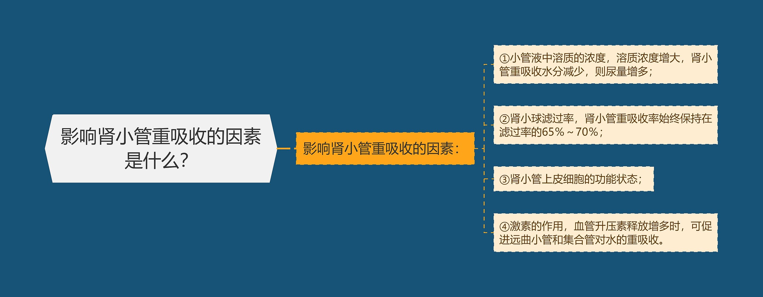 影响肾小管重吸收的因素是什么？