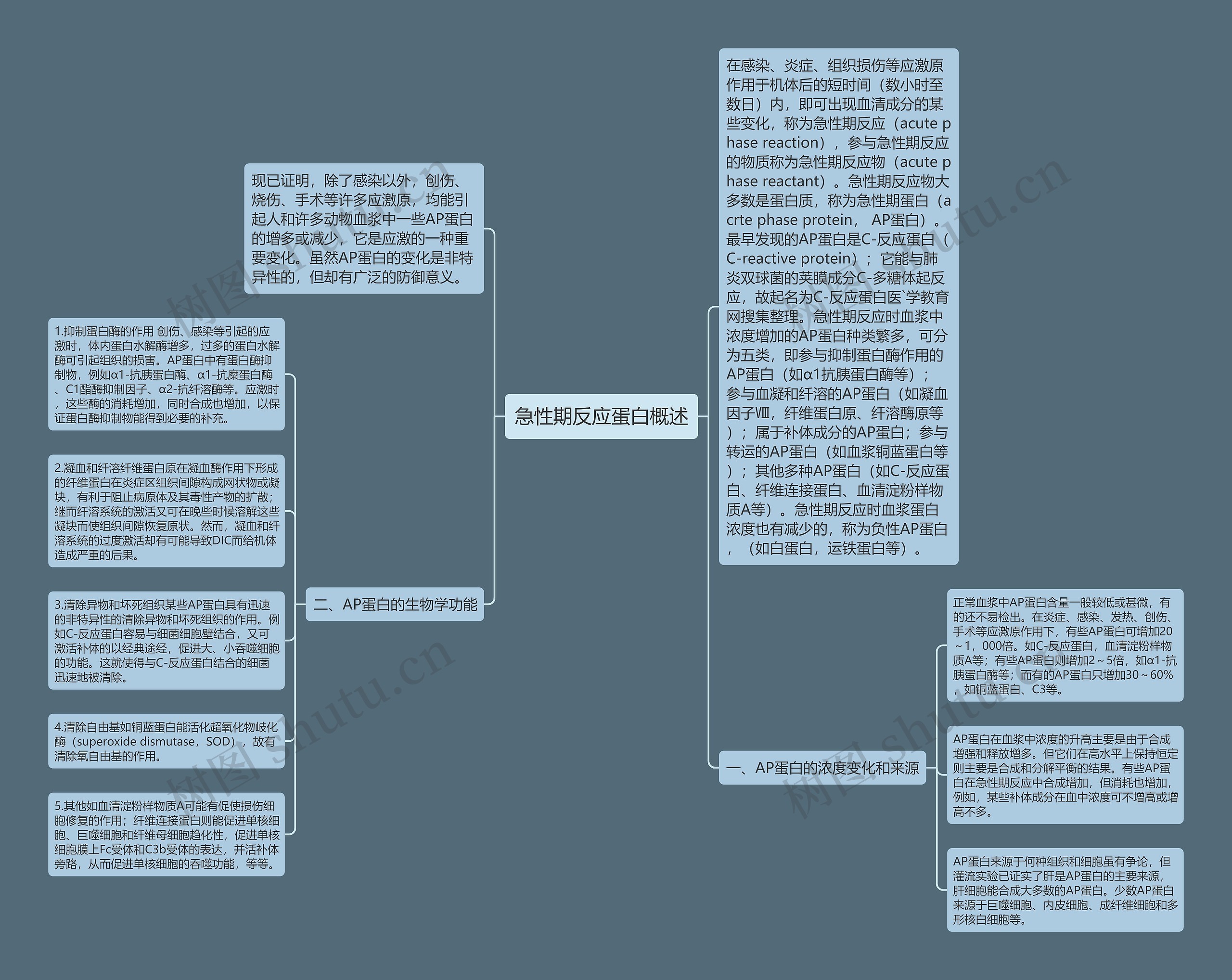 急性期反应蛋白概述思维导图
