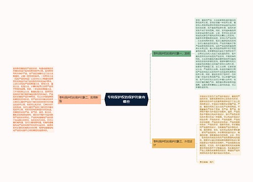 专利保护权的保护对象有哪些