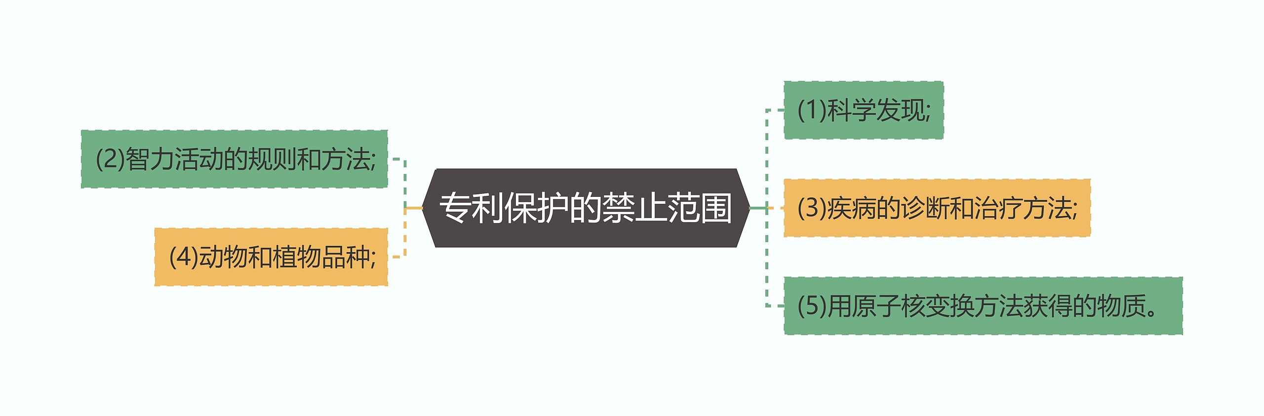 专利保护的禁止范围