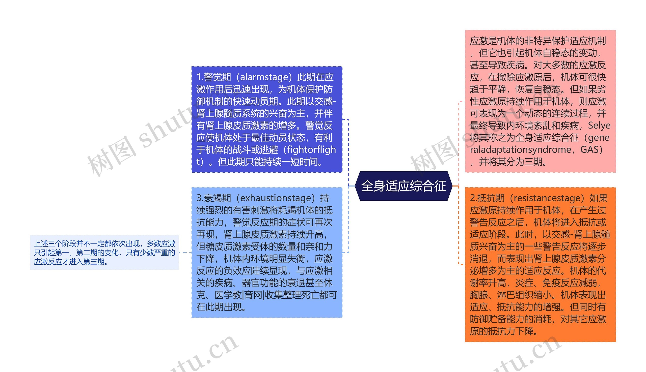 全身适应综合征思维导图