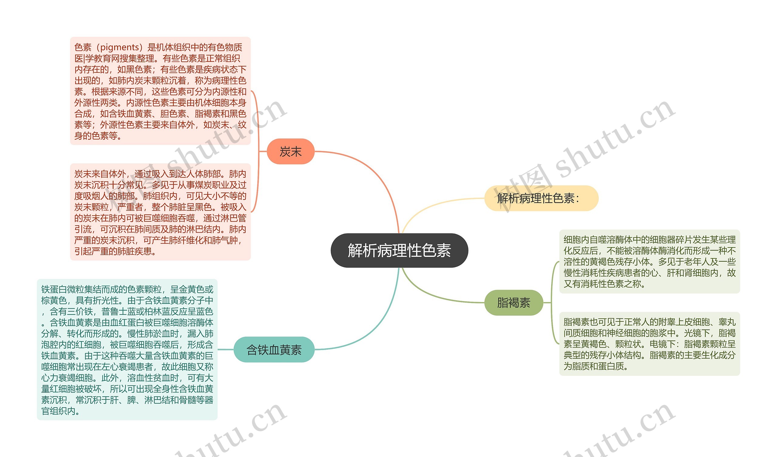 解析病理性色素思维导图