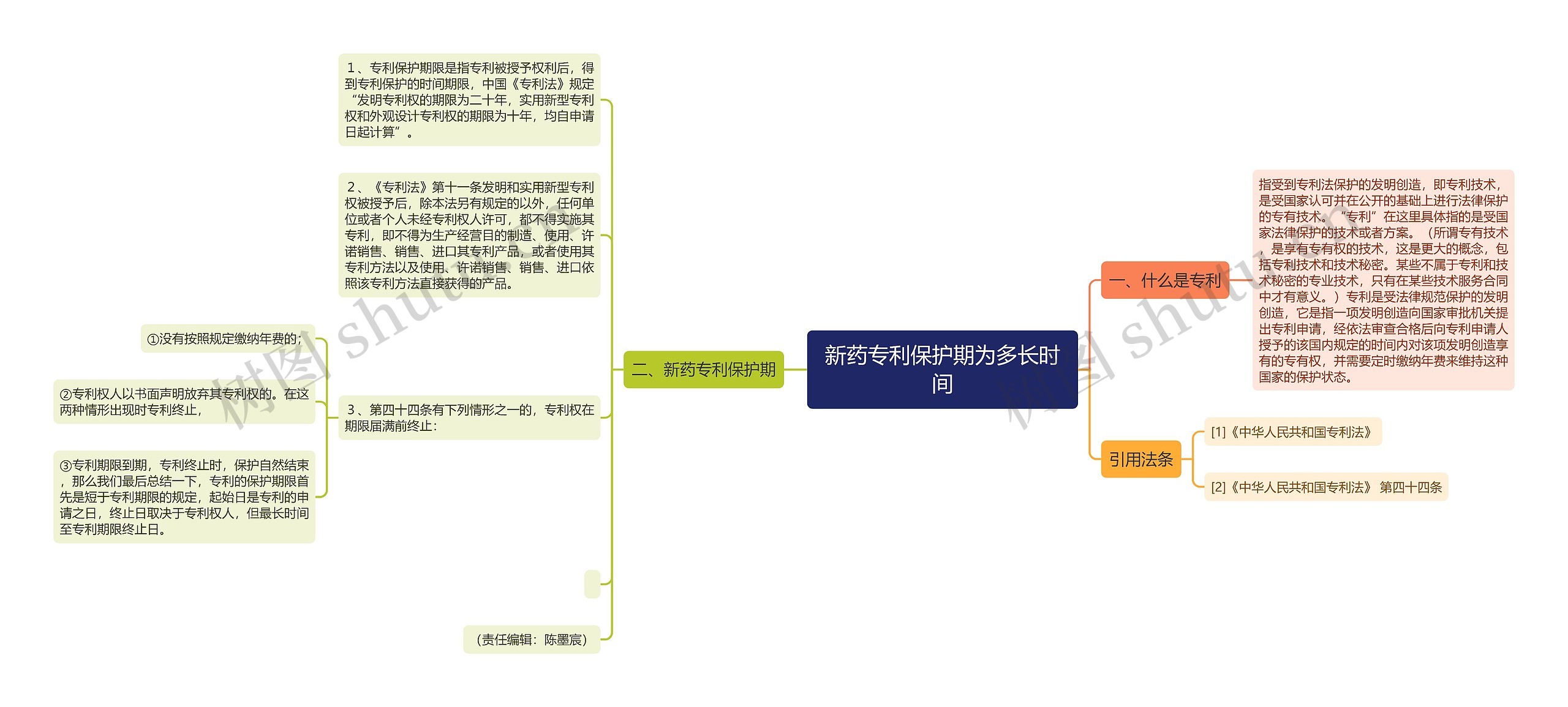 新药专利保护期为多长时间思维导图