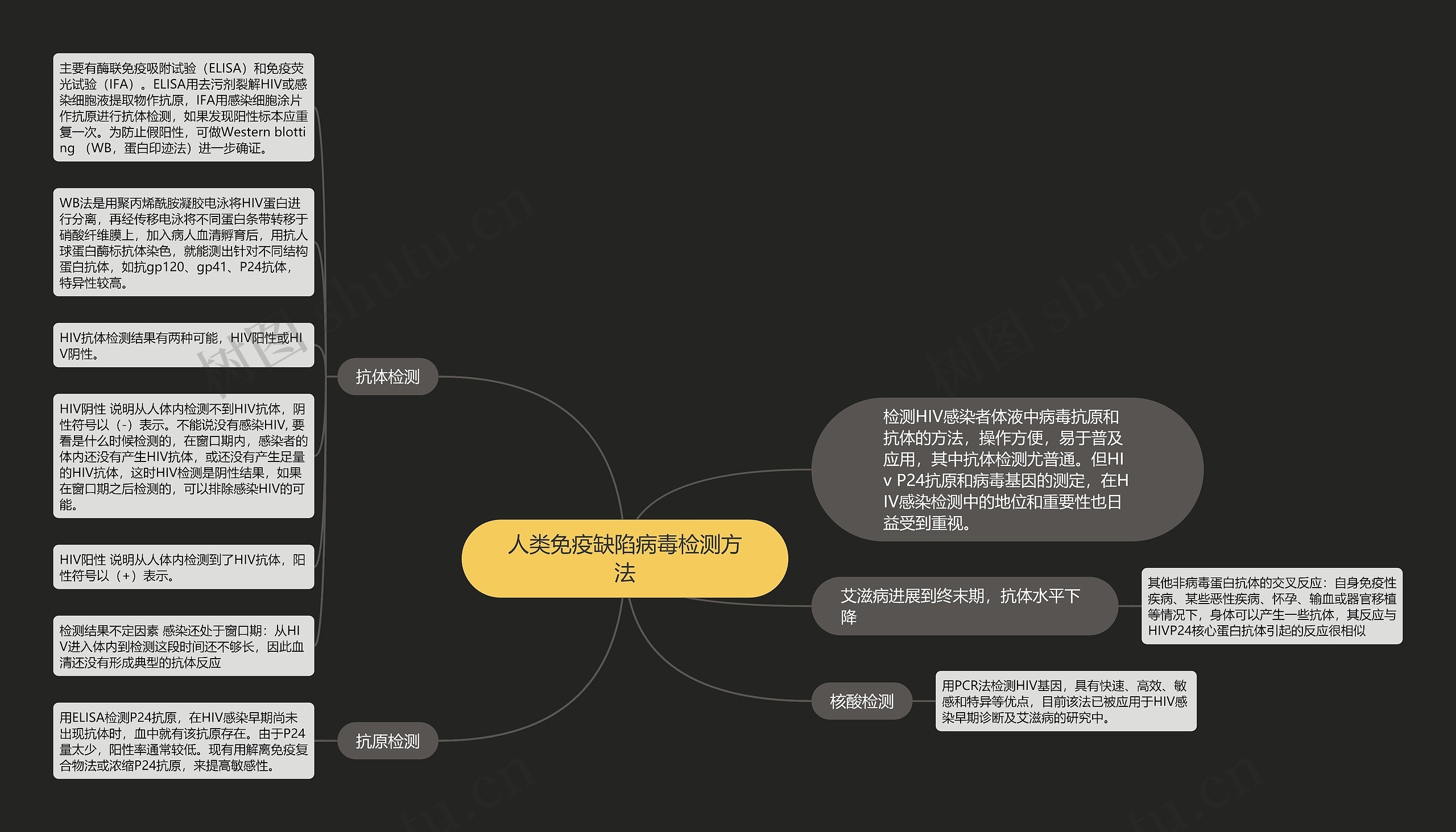 人类免疫缺陷病毒检测方法