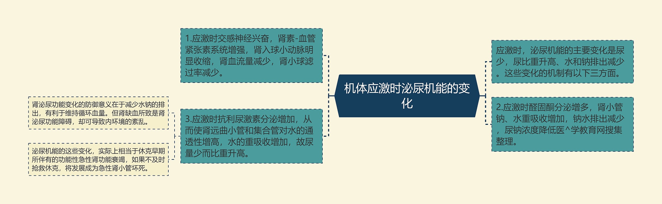 机体应激时泌尿机能的变化 机体应激时泌尿机能的变化