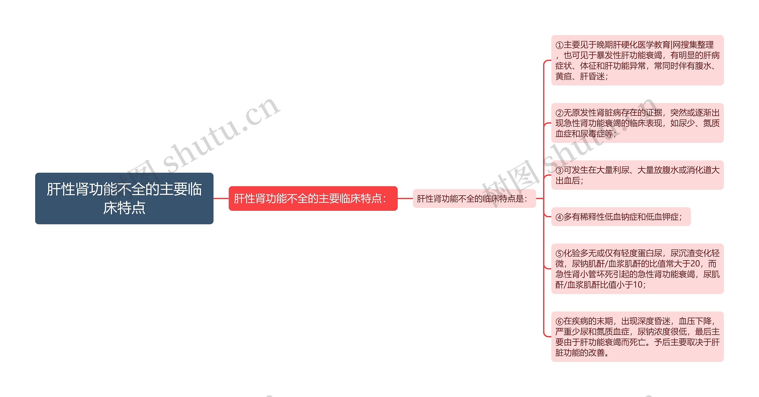 肝性肾功能不全的主要临床特点思维导图