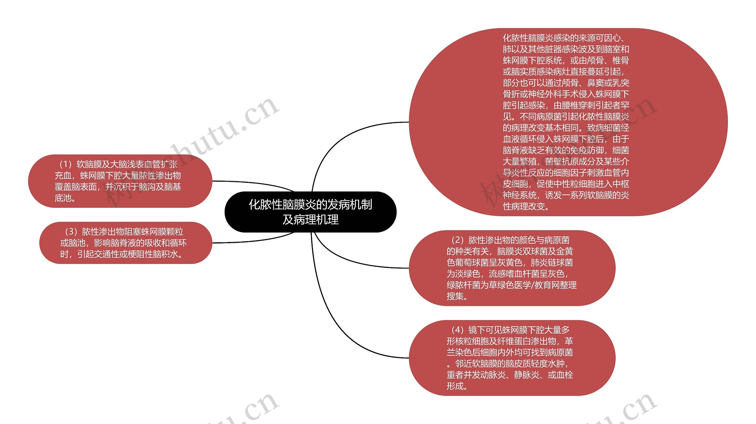 化脓性脑膜炎的发病机制及病理机理思维导图