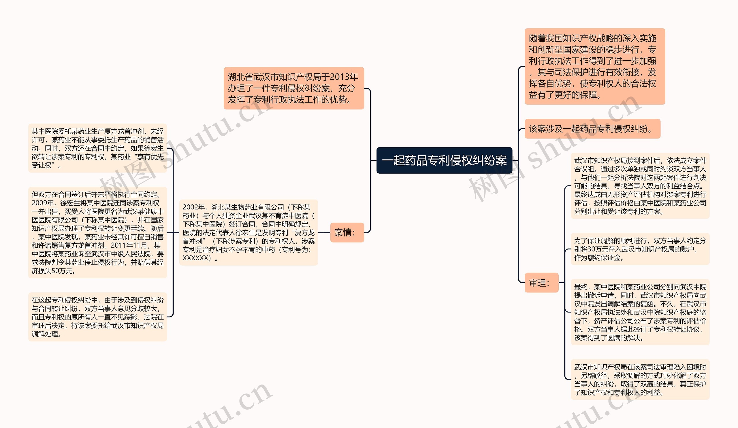 一起药品专利侵权纠纷案思维导图