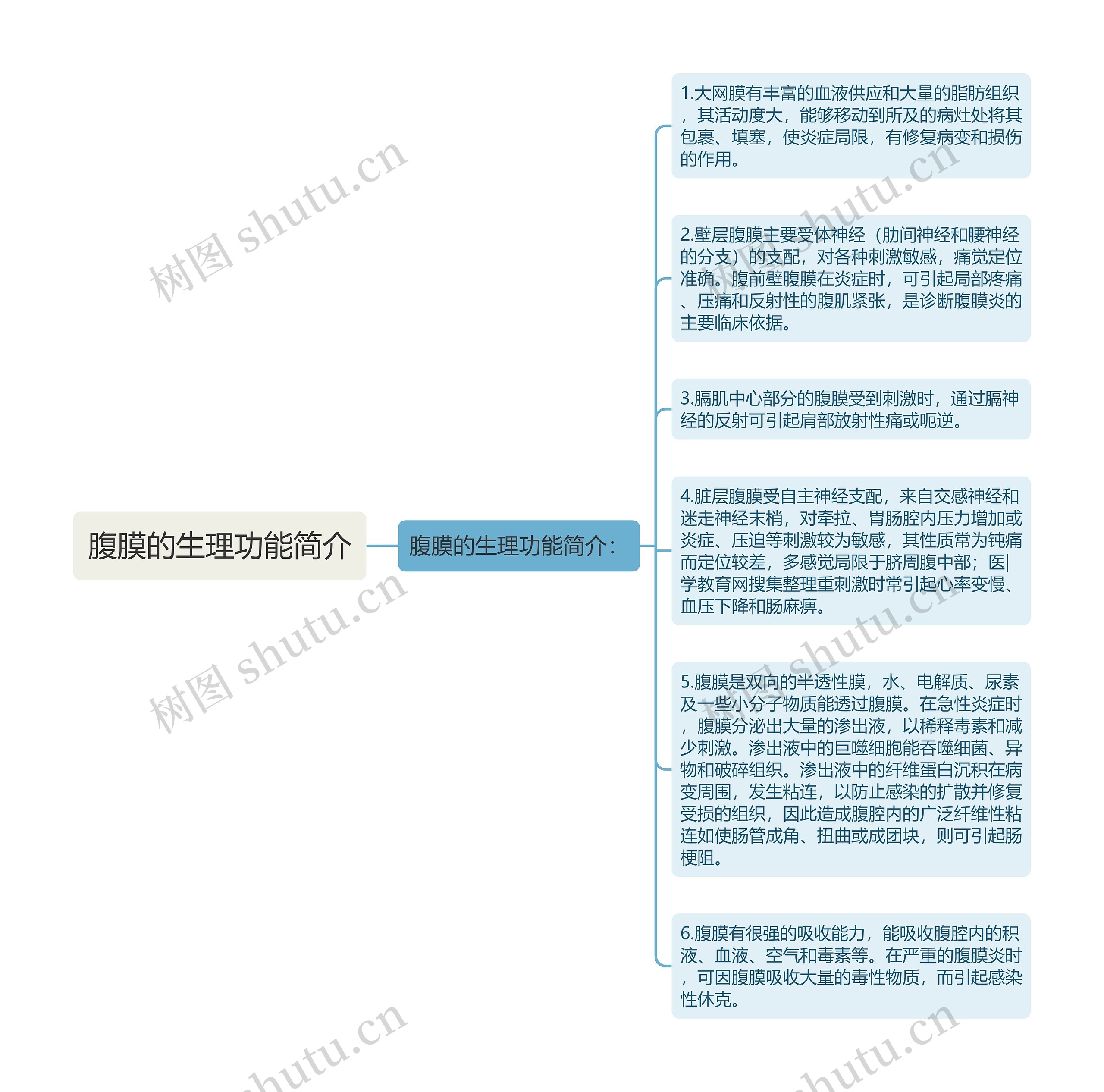 腹膜的生理功能简介