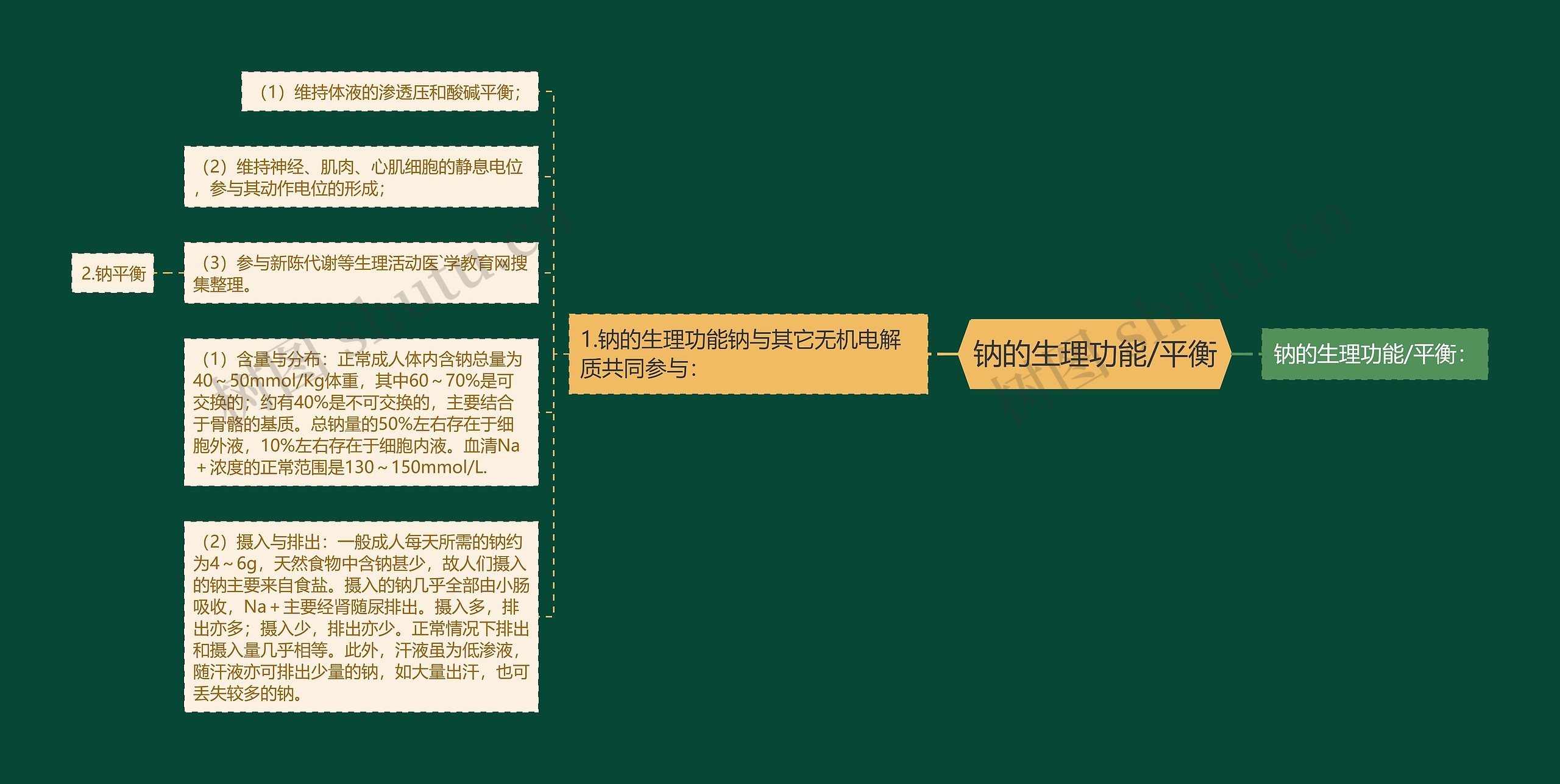 钠的生理功能/平衡 钠的生理功能/平衡