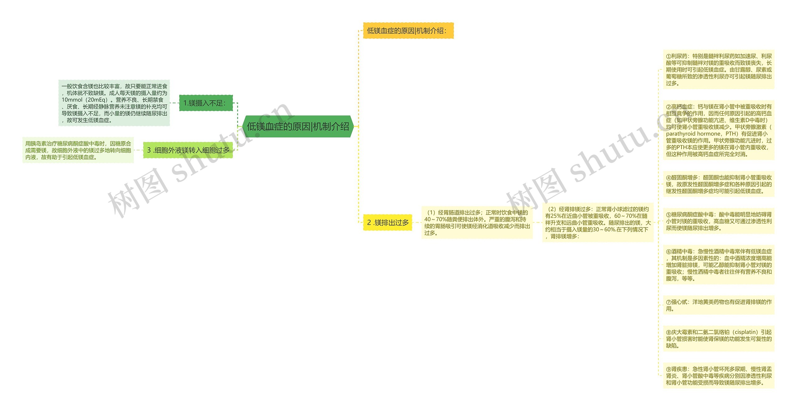 低镁血症的原因|机制介绍思维导图
