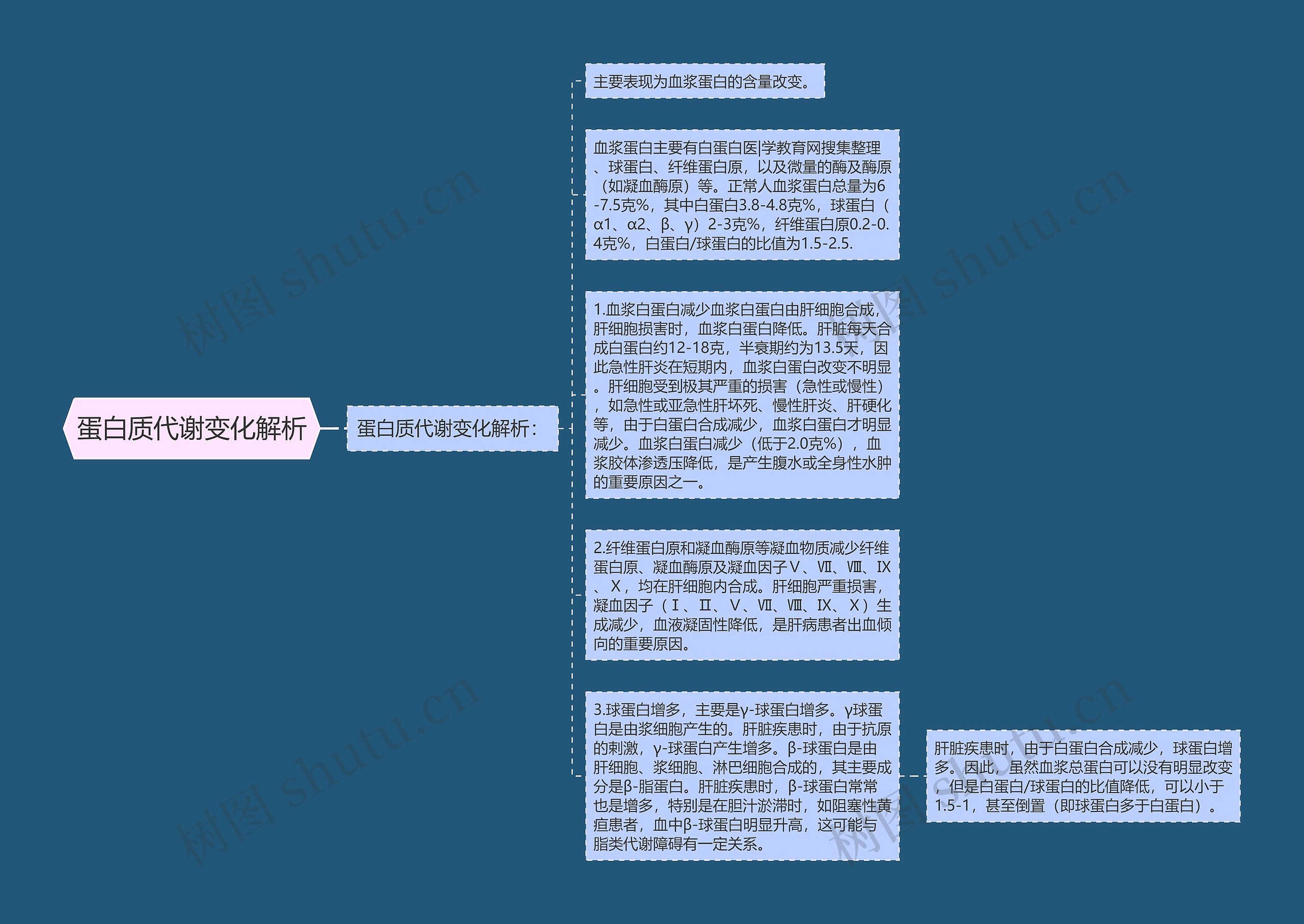 蛋白质代谢变化解析思维导图