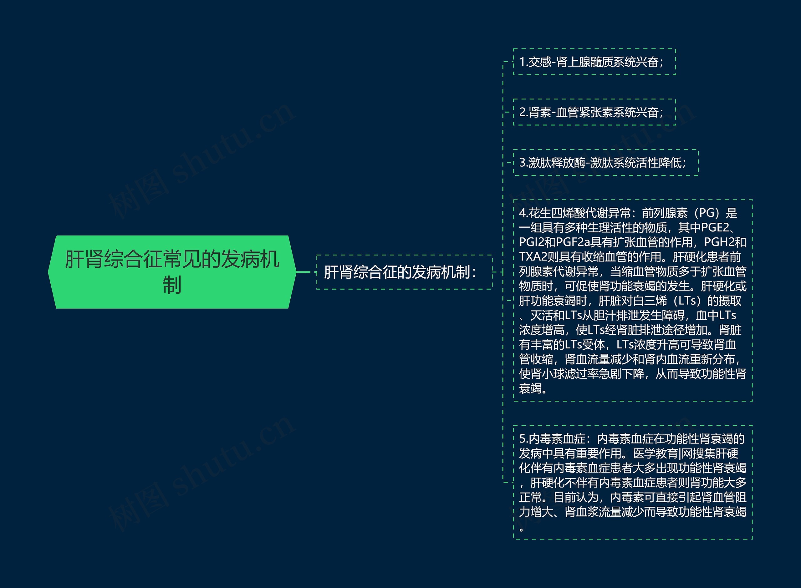 肝肾综合征常见的发病机制思维导图