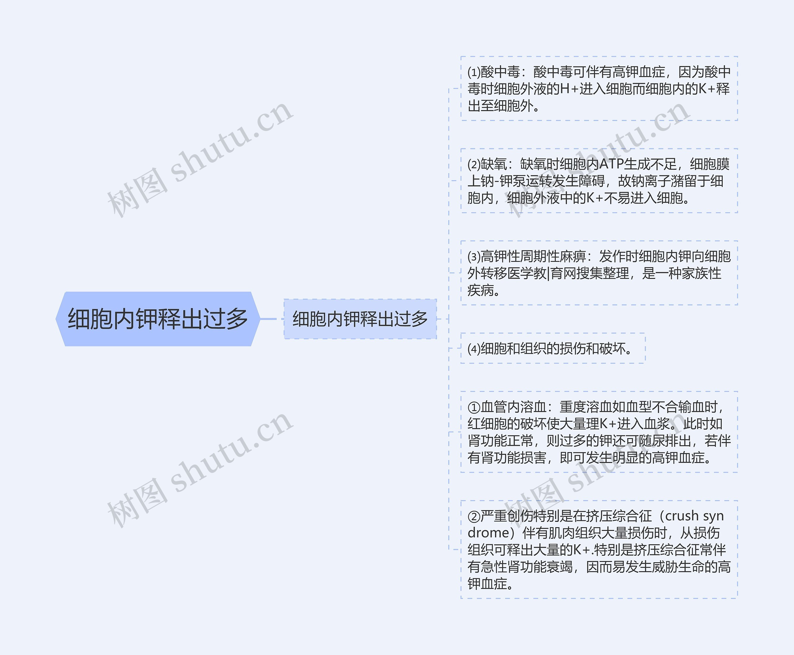 细胞内钾释出过多思维导图