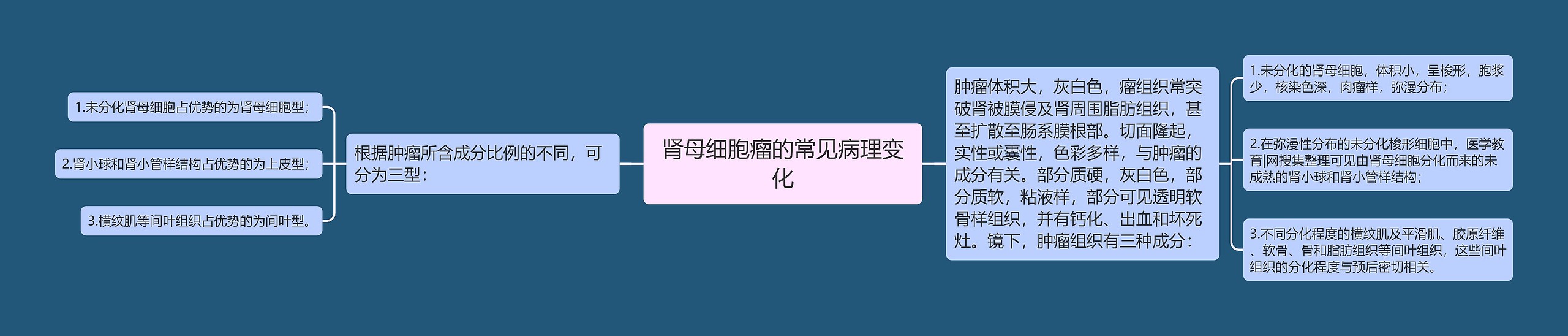 肾母细胞瘤的常见病理变化 肾母细胞瘤的常见病理变化