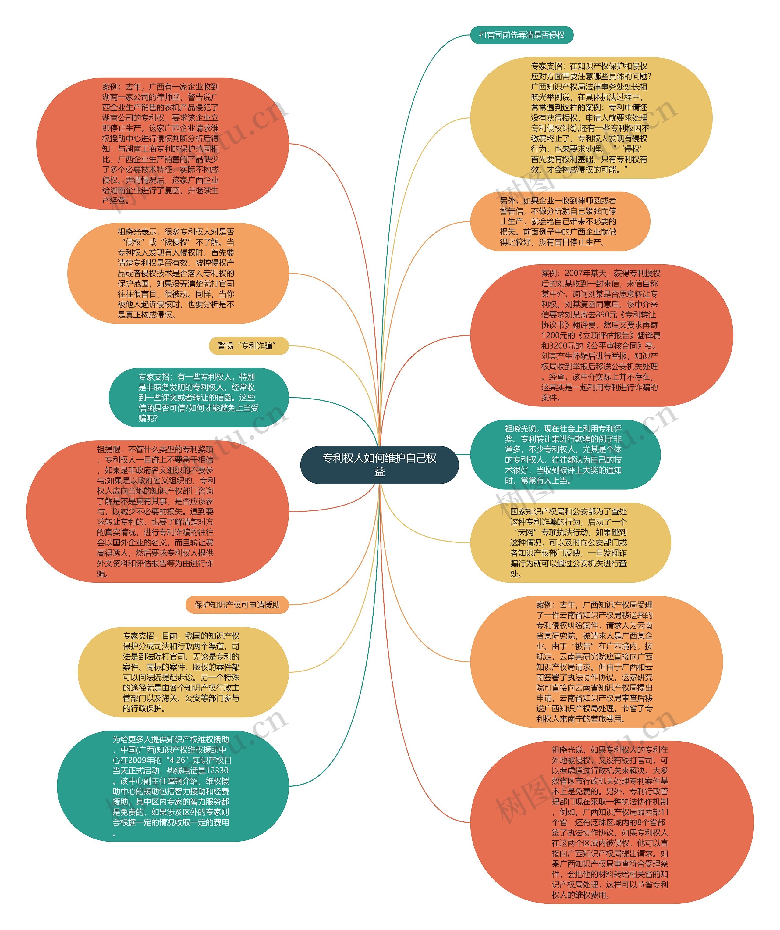 专利权人如何维护自己权益思维导图