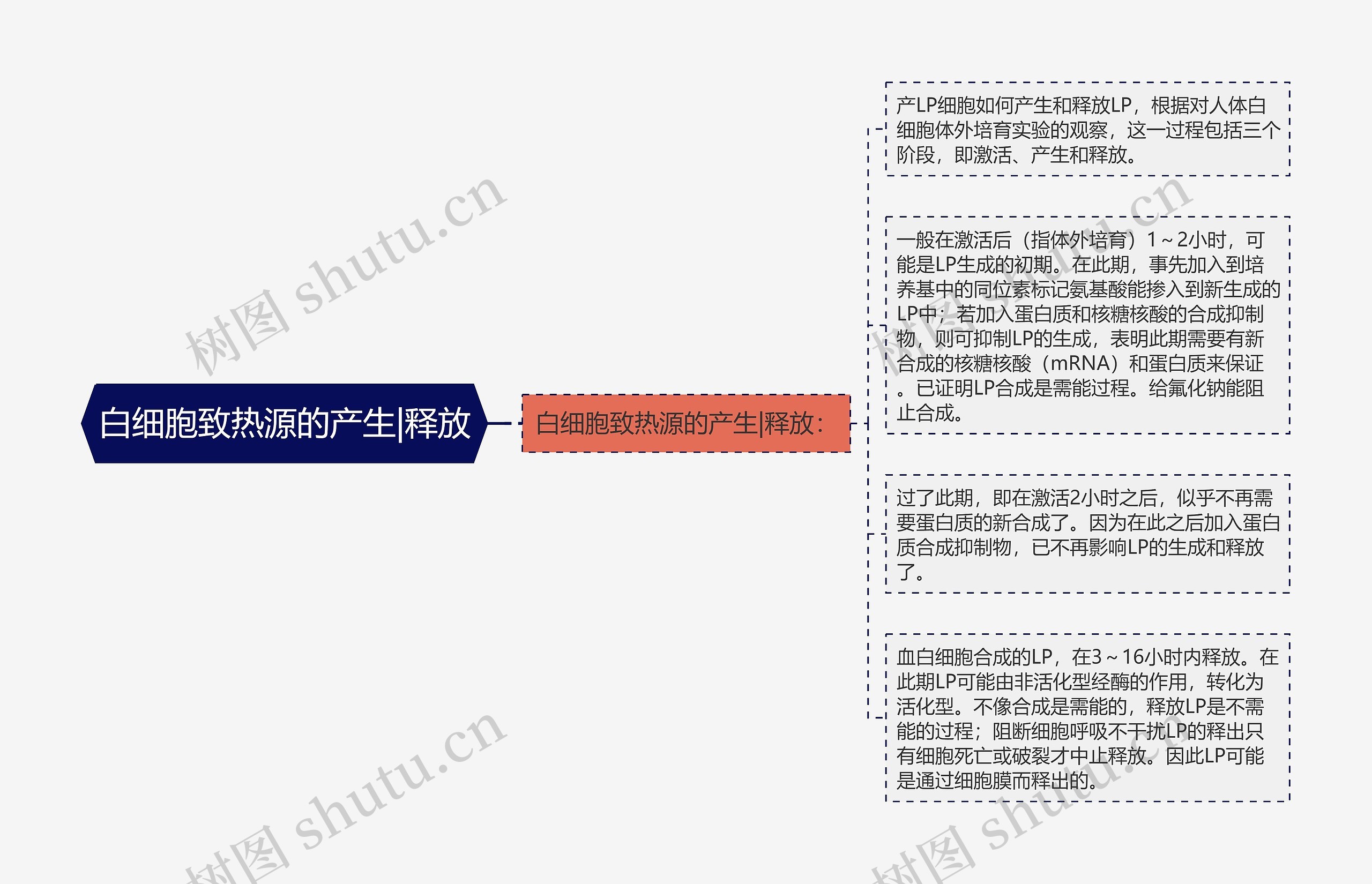 白细胞致热源的产生|释放思维导图