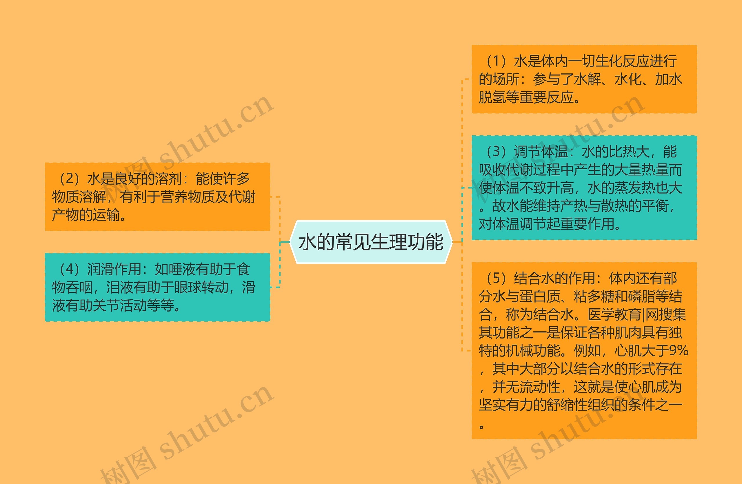 水的常见生理功能 水的常见生理功能