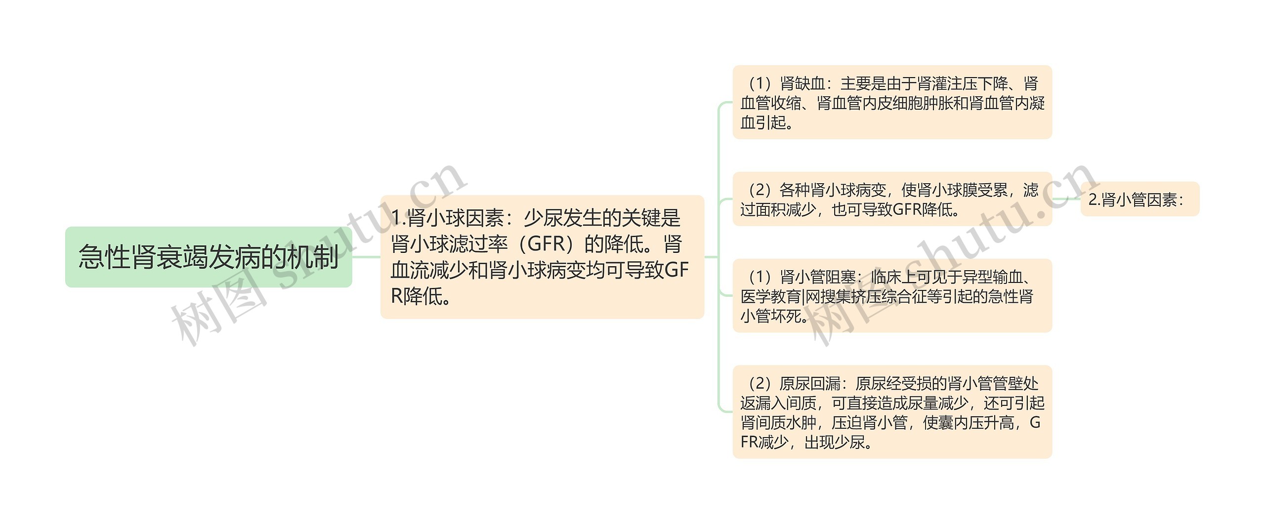 急性肾衰竭发病的机制 急性肾衰竭发病的机制