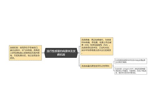 流行性感冒的病原体及发病机制