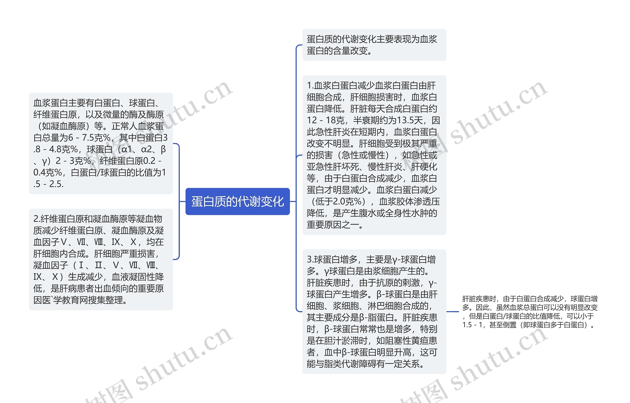 蛋白质的代谢变化思维导图