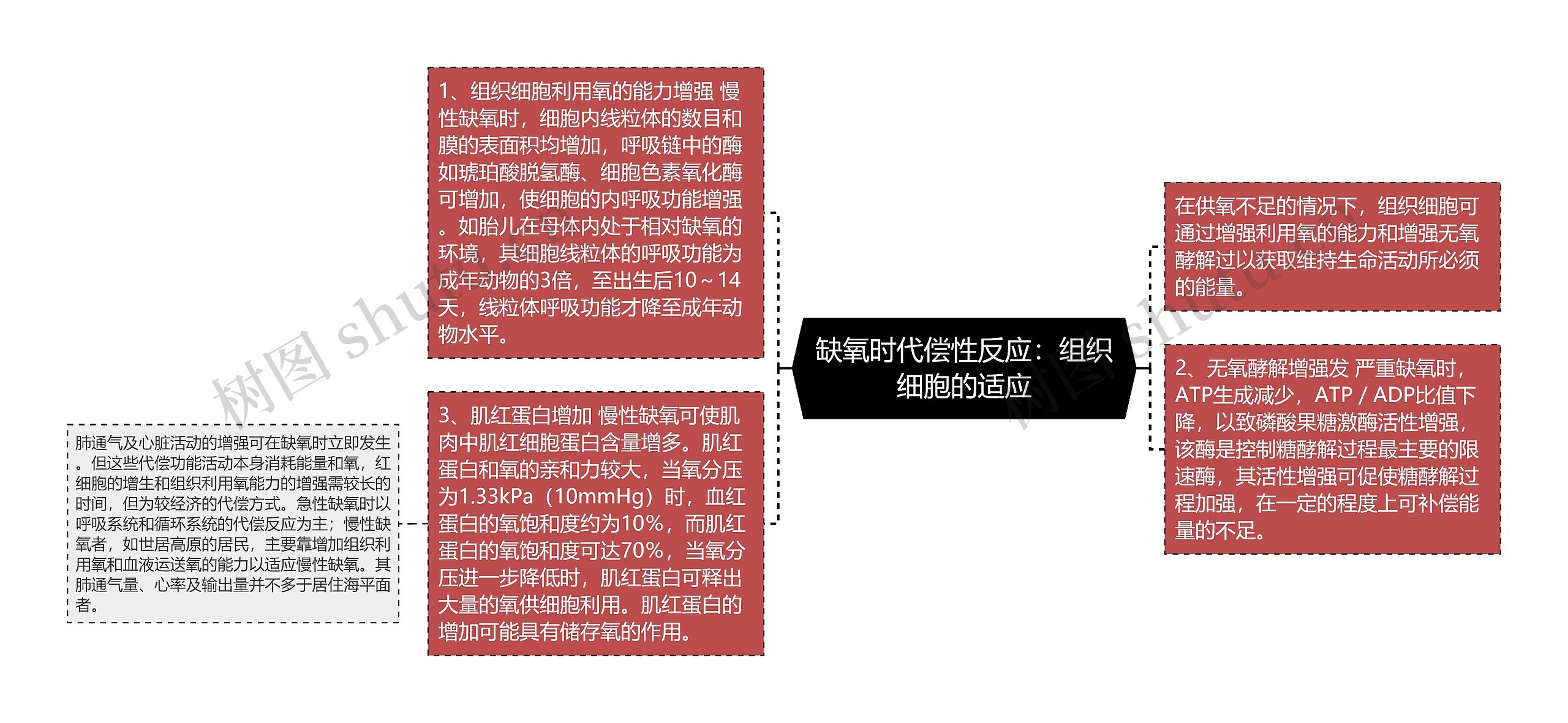 缺氧时代偿性反应:组织细胞的适应 缺氧时代偿性反应:组织细胞的适应